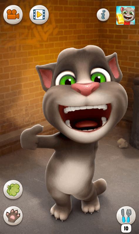 tom the talking cat|talking tom cat for pc.